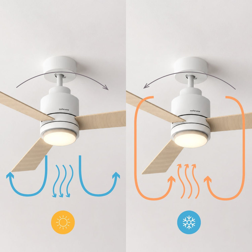 NÖRDI Breeze Core | Ventilador de Techo con Luz LED